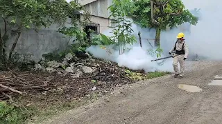 Coatzacoalcos strengthens anti-dengue efforts, goal is zero cases
