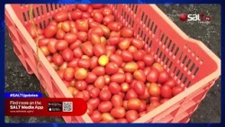 OBULIMI OBW'OMULEMBE : Babangudde abalimi ku magezi ag'ekikugu mu kulima.