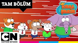 KRAL ŞAKİR | Bencil Sencil | TAM BÖLÜM | @cartoonnetworkturkiye