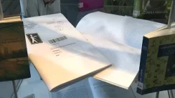 Fehér Bot Napja