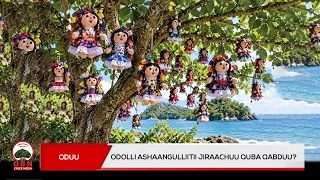 Odola ashaangulliitii
