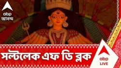 Durga Puja 2026: এবছর ৪২তম বর্ষে পা দিল সল্টলেক এফডি ব্লকের পুজো, এবারের থিম 'নকশিকথার মাঠ'