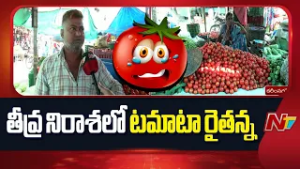 Tomato Price: పతనమైన టమాటా ధర.. తీవ్ర నిరాశలో రైతులు | Karimnagar | Special Report | NTV Telugu