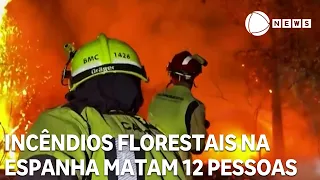 Wildfires in Spain leave at least 12 dead