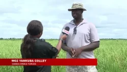 ARMY MOVES TO EXPAND AGRICULTURAL PRODUCTION