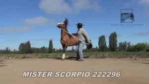 criadero altos del achibueno