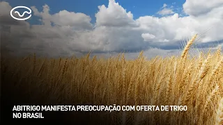 Abitrigo expresses concern over wheat supply in Brazil