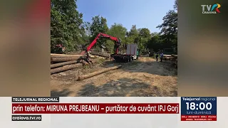 CRIMINAL INVESTIGATION AT A LUMBER YARD