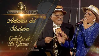 [Concierto De Lujo] – Los Antaños del Stadium – Callecitas de la guaira