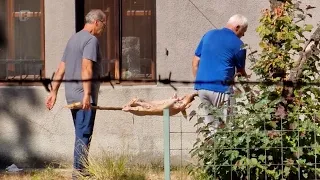 Prizor iz dvorišta Zemaljskog muzeja otkrio posljedice njegovog neriješenog statusa
