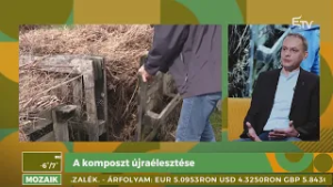 A komposzt újraélesztése – Mozaik