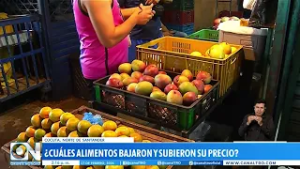 Precios de alimentos en alza: balance desde Cúcuta prende alertas