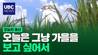 🍂 울산 가을 플레이리스트｜바람 불 때 틀어놓기 좋은 풍경들