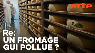 France : le comté à l'heure des comptes | ARTE Regards