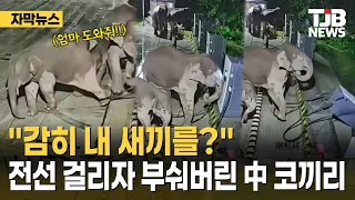 "How dare you mess with my baby?" Chinese elephant knocks over charging station after calf gets t...