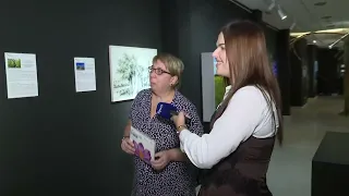BOJE JUTRA - ČUDESNI SVIJET BILJAKA: IZLOŽBA BOTANIČKE ILUZIJE (NADA BUBANJA) | Vijesti online