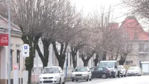 Átfogó dokumentum segíti a természetvédelmet