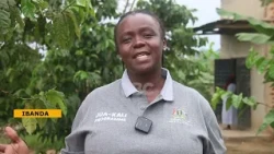 Jua-Kali Programme Equips Ibanda Youth and Women with Tailoring and Salon Skills for Self-Reliance