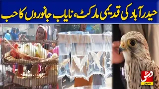 Hyderabad's Historic Gudri Market: A Hub for Rare Birds, Pets & Livelihood | Vsh News