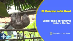 Vida silvestre en el Panama Nature Center | Verano más Cool | Cool Zone