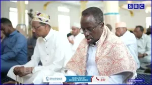 DIB U MILICSI :- WIXII BAYDHABO KA DHACAY WAR DHEGAHA U ROON MAA AHAYN " MX XASAN SHEEKH