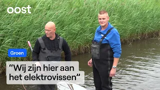 Mark rescues fish from (nearly) dried-up ditches | RTV Oost