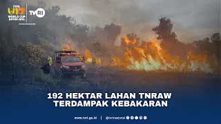192 Hektar Lahan TNRAW Terdampak Kebakaran