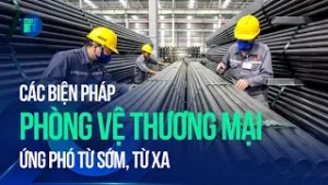 Ứng phó từ sớm, từ xa với các biện pháp phòng vệ thương mại | VTC1