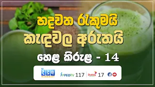 හදවත රැකුමයි - කැඳවල අරුතයි | Hela Kirula | EP.14