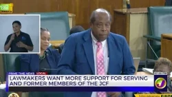 Lawmakers Want More Support for Serving and Former Members of the JCF | TVJ News