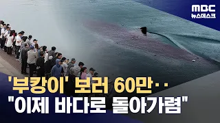 'Bukangi' Draws Over 600,000 Visitors... Will It Return to the Sea Tomorrow? (09.28.2026/Newsdesk...