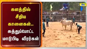 தஞ்சாவூரில் களைகட்டிய மஞ்சுவிரட்டு போட்டி...#latestnews #rajnewstamil