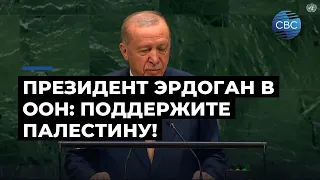 Эрдоган в ООН призвал поддержать Палестину и реформировать организацию