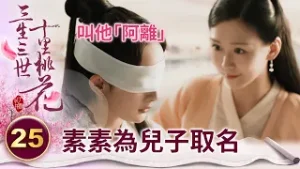 灰姑娘生子後心死 為兒子取的名字就是離開的前兆！【三生三世十里桃花】精華 EP25-4 楊冪、趙又廷、迪麗熱巴、高偉光、張智堯 @ctvdrama_classic