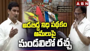 ఆడబిడ్డ నిధి పథకం అమలుపై మండలిలో రచ్చ | Uproar in AP Council on Aadabidda Nidhi Scheme Rollout | ABN