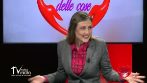 NEL CUORE DELLE COSE GINO AMORE 29 01 2026