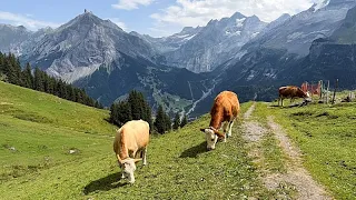 Swiss village lives in the shadow of an unstable mountain