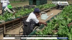 Nurturing potential of differently abled