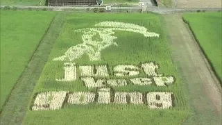 The words "just keep going" are clearly visible in the hot summer! The "Eichan Rice Fields" in Mi...