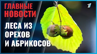 Леса из орехов и абрикосов. В СКО по-новому взглянули на озеленение региона