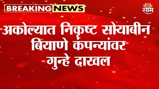 निकृष्ट सोयाबीन बियाणे कंपन्यांवर गुन्हे दाखल | Saam Impact | Akola Soybean Seed Scam