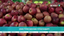 Азық - түлік бағасын тұрақтандыру