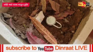 নাইট গার্ড থাকা সত্বেও পর পর মধুপুর দ্বাদশে চুরির ঘটনায় চাঞ্চল্য