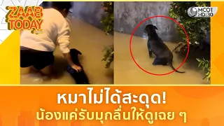หมาไม่ได้สะดุด! น้องแค่รับมุกลื่นให้ดูเฉย ๆ (29 ก.ย. 69) | แซ่บทูเดย์