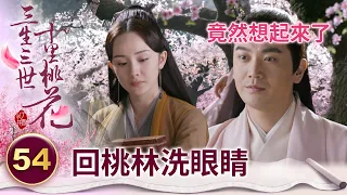白淺復仇完後對夜華心死 失魂落魄的回桃林洗眼睛【三生三世十里桃花】精華 EP54-5 楊冪、趙又廷、迪麗熱巴、高偉光、張智堯 @ctvdrama_classic
