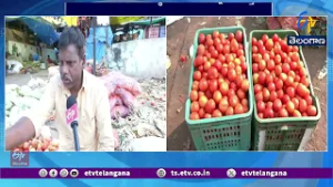 Tomato Prices Crash Amid Rising Harvests | Farmers Struggle with Low Returns