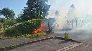 Carbonaia fire, investigation underway. Video surfaces