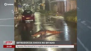 Estragos da chuva em Pernambuco atingem principalmente o Agreste Meridional | #NovaGeral