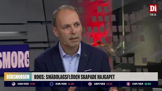 Förvaltaren tror på trendskifte: "Småbolagen har halkat efter"