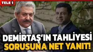MHP'li Feti Yıldız'dan Selahattin Demirtaş açıklaması